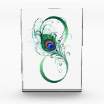 Infinity Symbol with Peacock Feather Acrylic Award<br><div class="desc">The symbol of infinity with a bright,  green,  artistic peacock feather on a white background. Tattoo style.</div>