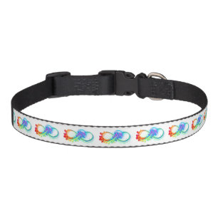 Infinity with Rainbow Jellyfish Pet Collar