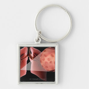 Inflammed airway during an asthma attack keychain