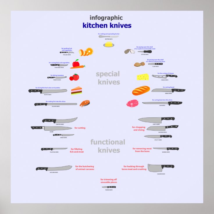 infographic kitchen knives poster | Zazzle