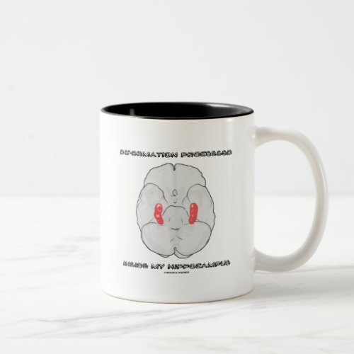 Information Processed Inside My Hippocampus Two_Tone Coffee Mug