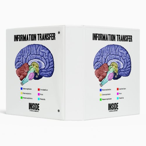 Information Transfer Inside Brain Anatomy Humor 3 Ring Binder