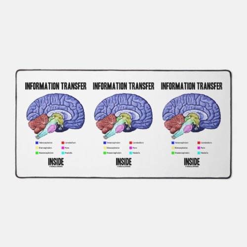 Information Transfer Inside Brain Anatomy Humor Desk Mat