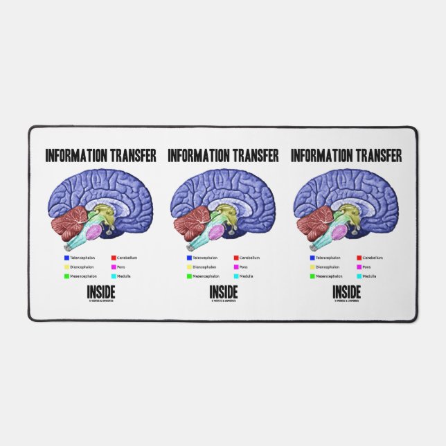 Information Transfer Inside Brain Anatomy Humor Desk Mat (Front)