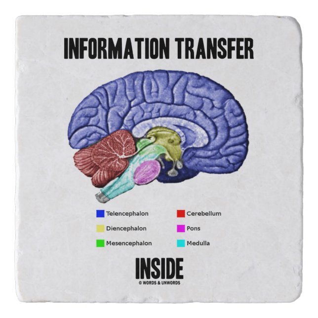 Information Transfer Inside Brain Anatomy Humor Trivet (Front)