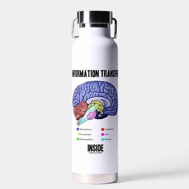 Information Transfer Inside Brain Anatomy Humor Water Bottle (Front)