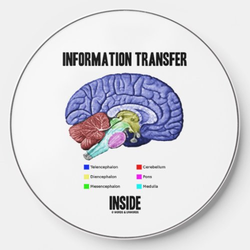 Information Transfer Inside Brain Anatomy Humor Wireless Charger