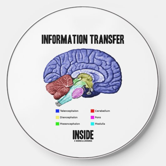 Information Transfer Inside Brain Anatomy Humor Wireless Charger (Front)