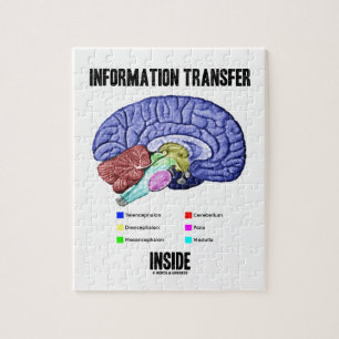 Information Transfer Inside (Brain Anatomy) Jigsaw Puzzle