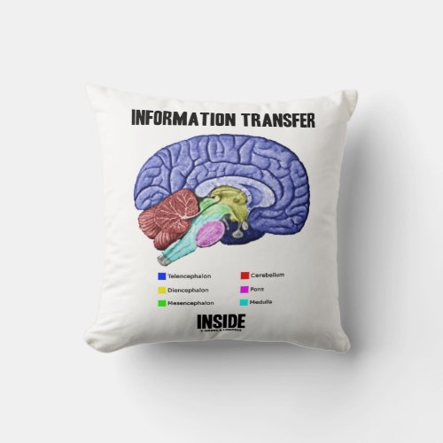 Information Transfer Inside Brain Anatomy Throw Pillow