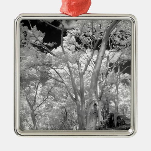 Infra red of trees buildings and trails in Las 2 Metal Ornament