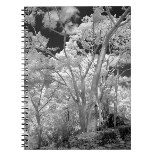 Infra red of trees buildings and trails in Las 2 Notebook