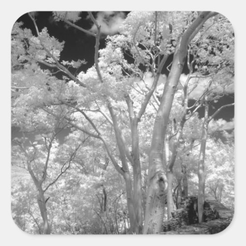 Infra red of trees buildings and trails in Las 2 Square Sticker