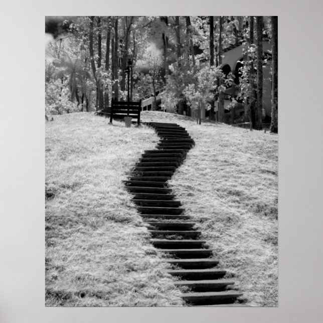 Infra red of trees buildings and trails in Las Poster (Front)