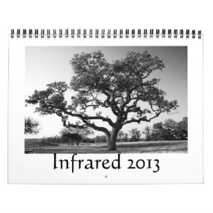Infrared - 2013 calendar