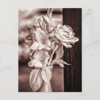 Infrared Bouquet Postcard