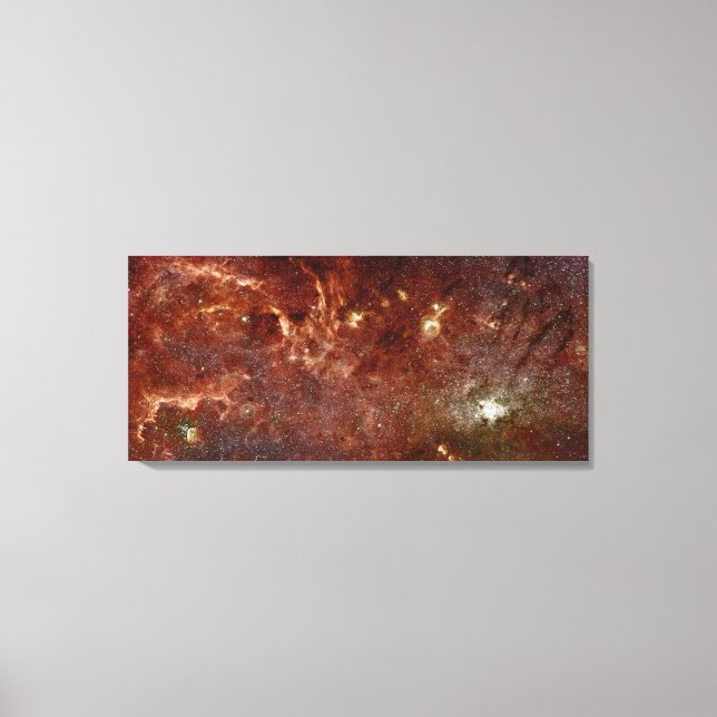 Infrared image canvas print (Front)