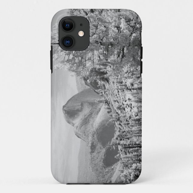 Infrared photo in East side of Yosemite National 2 Case-Mate iPhone Case (Back)