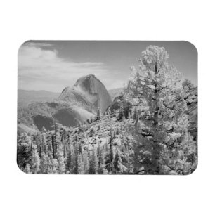 Infrared photo in East side of Yosemite National 2 Magnet