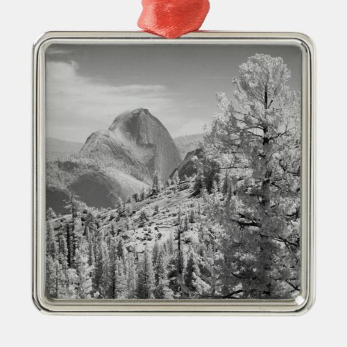 Infrared photo in East side of Yosemite National 2 Metal Ornament