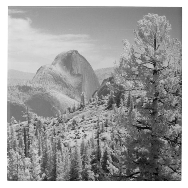 Infrared photo in East side of Yosemite National 2 Tile (Front)