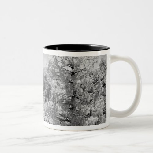 Infrared photo in East side of Yosemite National 2 Two_Tone Coffee Mug