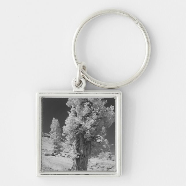 Infrared photo in East side of Yosemite National Keychain (Front)