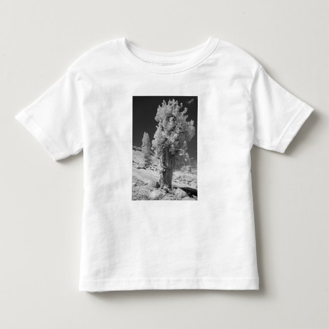 Infrared photo in East side of Yosemite National Toddler T-shirt (Front)