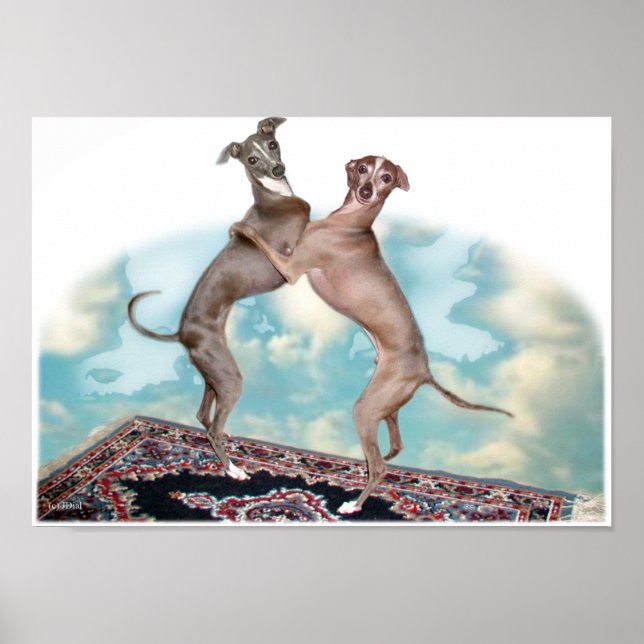 Infrequent Fliers Poster (Front)