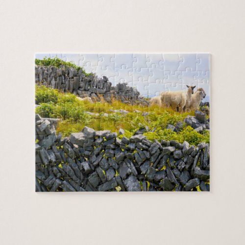 Inisheer Aran Islands Galway Ireland Jigsaw Puzzle