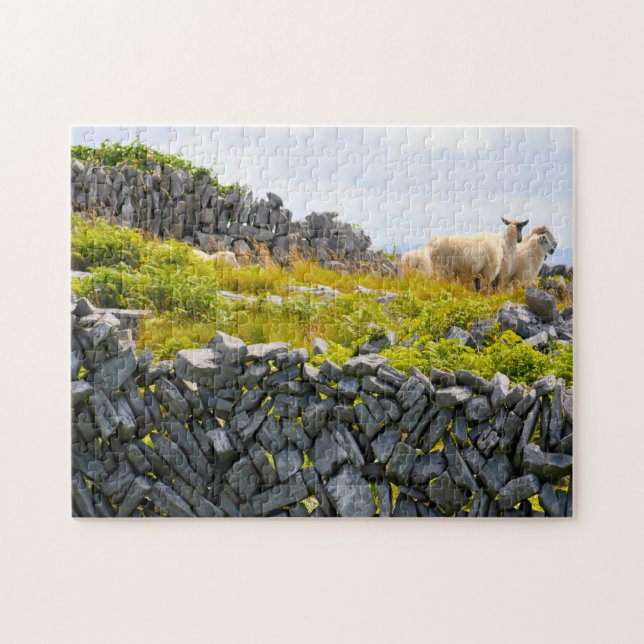Inisheer Aran Islands Galway Ireland. Jigsaw Puzzle (Horizontal)