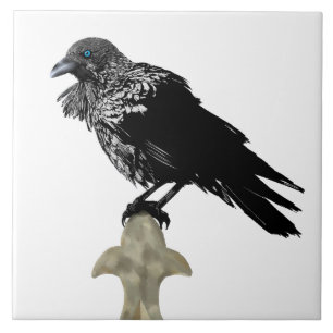 Inked Raven Ceramic Tile