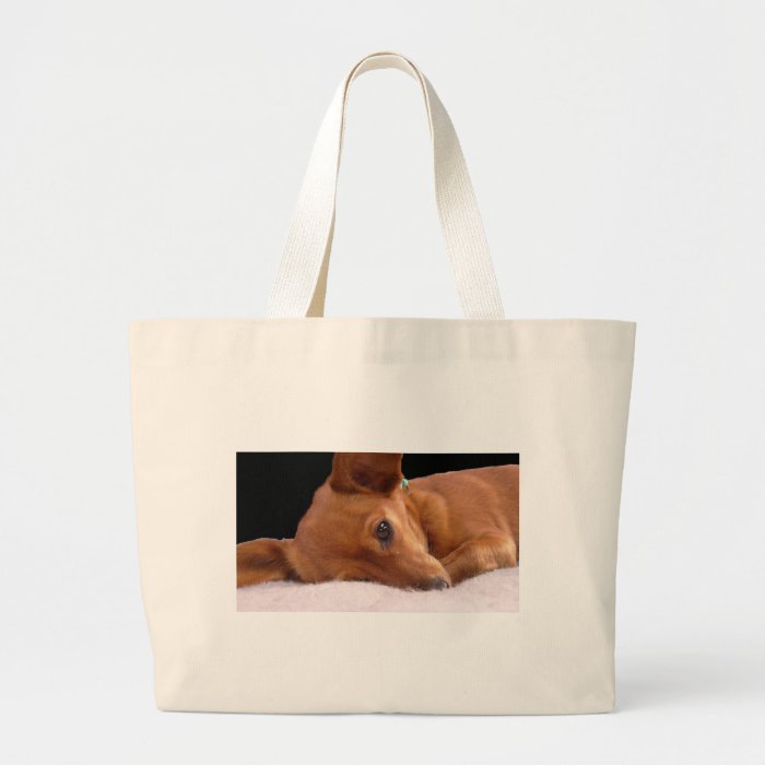 Inki The Chihuahua Bag by Barbara Stock