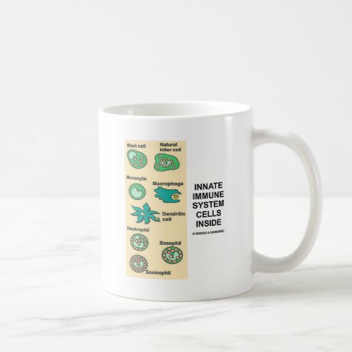 Innate Immune System Cells Inside Coffee Mug