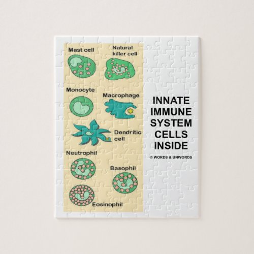 Innate Immune System Cells Inside Immunology Jigsaw Puzzle