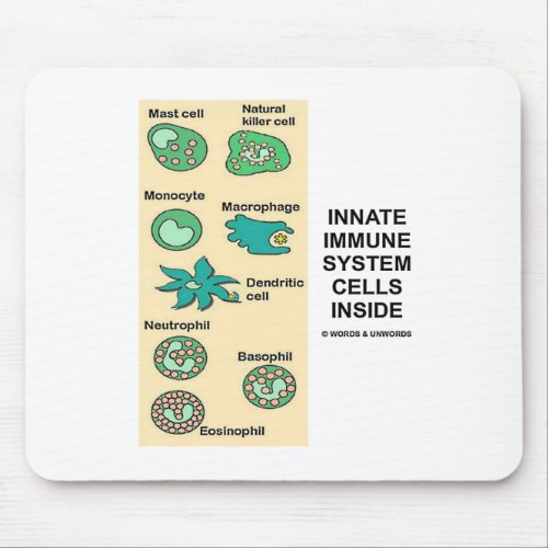 Innate Immune System Cells Inside Mouse Pad