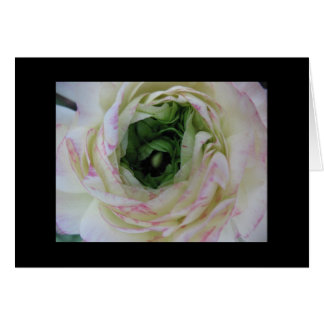 Inner Beauty Cards