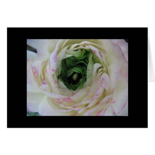 Inner Beauty Cards (Front Horizontal)