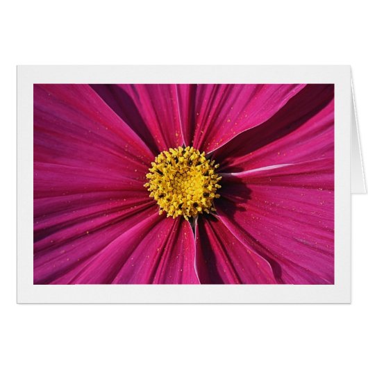 Inner Cosmos Cards (Front Horizontal)