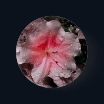 Inner Glow Button