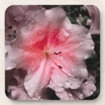 Inner Glow Cork Coaster