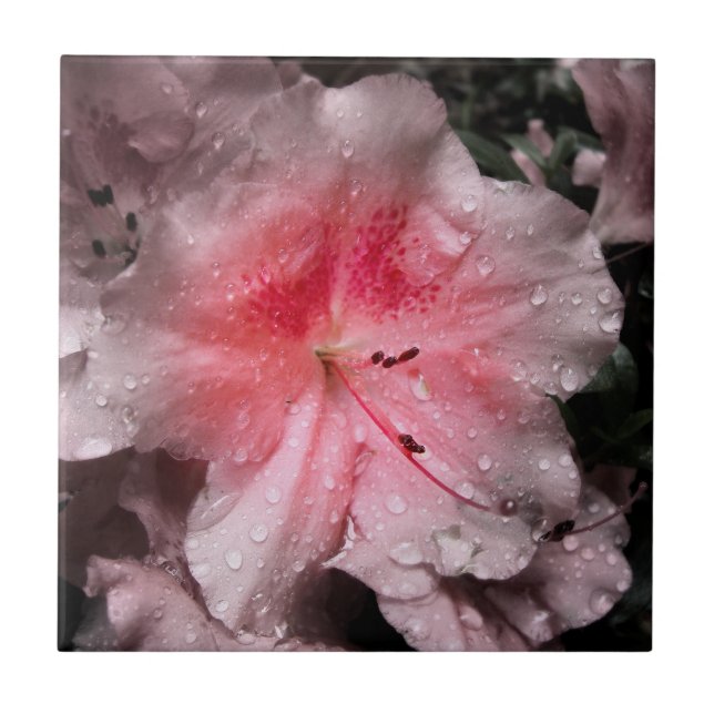 Inner Glow Decorative Tile (Front)