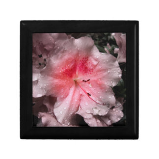 Inner Glow Gift Box