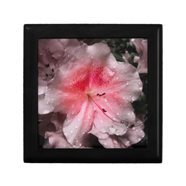 Inner Glow Gift Box (Front)