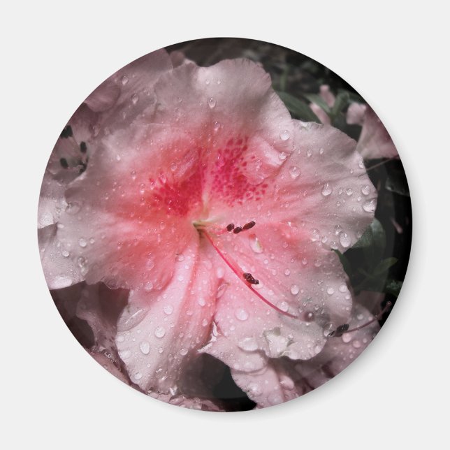 Inner Glow Magnet (Front)