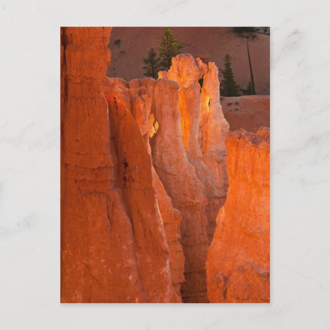 Inner Glow Postcard (Front)