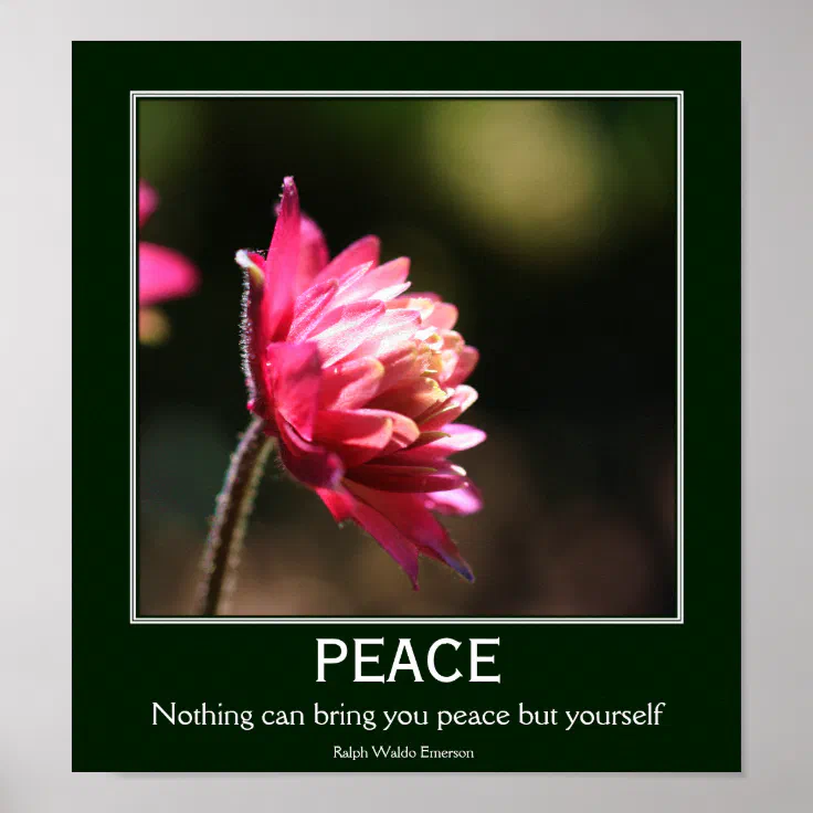 Inner Peace Flower Inspirational Quote Poster Zazzle