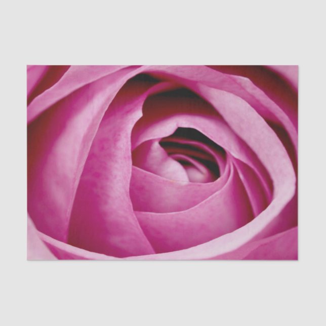 Inner Petals of Rose Bud Tissue Paper (Front)