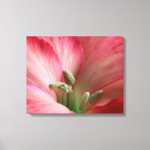 Inner Sanctum Canvas Print