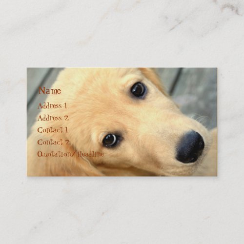 Innocent Abby Business Card
